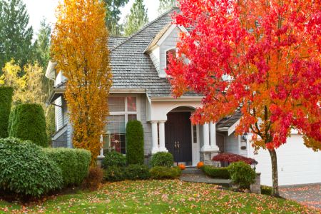 4 Reasons A Fall Seasonal Clean-Up Is Worth The Investment