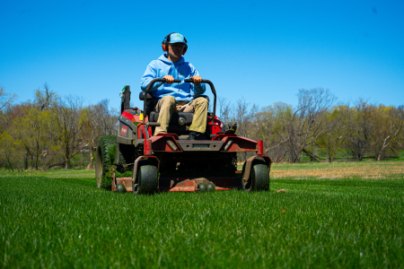 How Often Should I Mow, And How Short Should I Cut My Grass?
