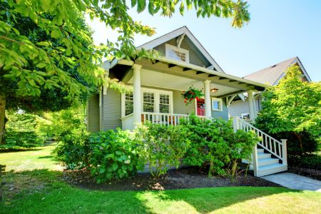 How Tree Trimming Can Save Your Roof