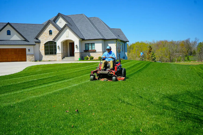 Lawn maintenance new