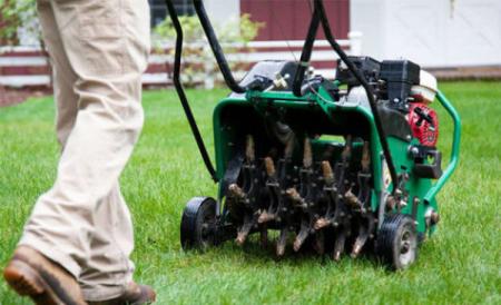 Aeration & Overseeding